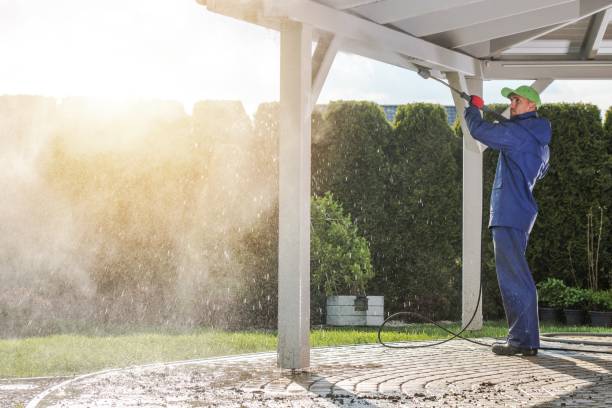 Best Concrete Surface Cleaning in Hampshire, IL