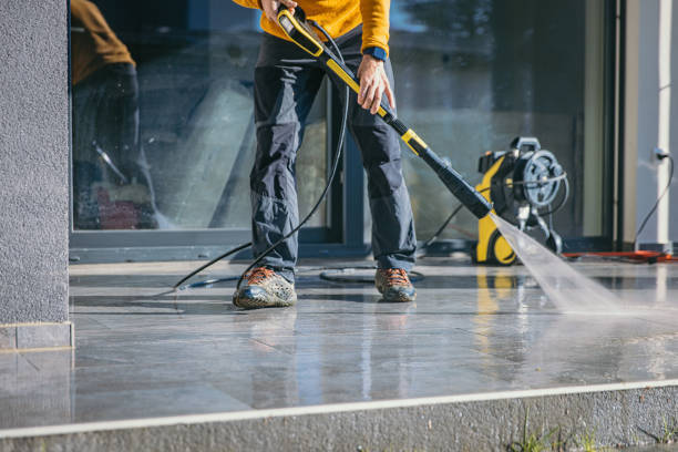 Best Driveway Cleaning and Restoration in Hampshire, IL